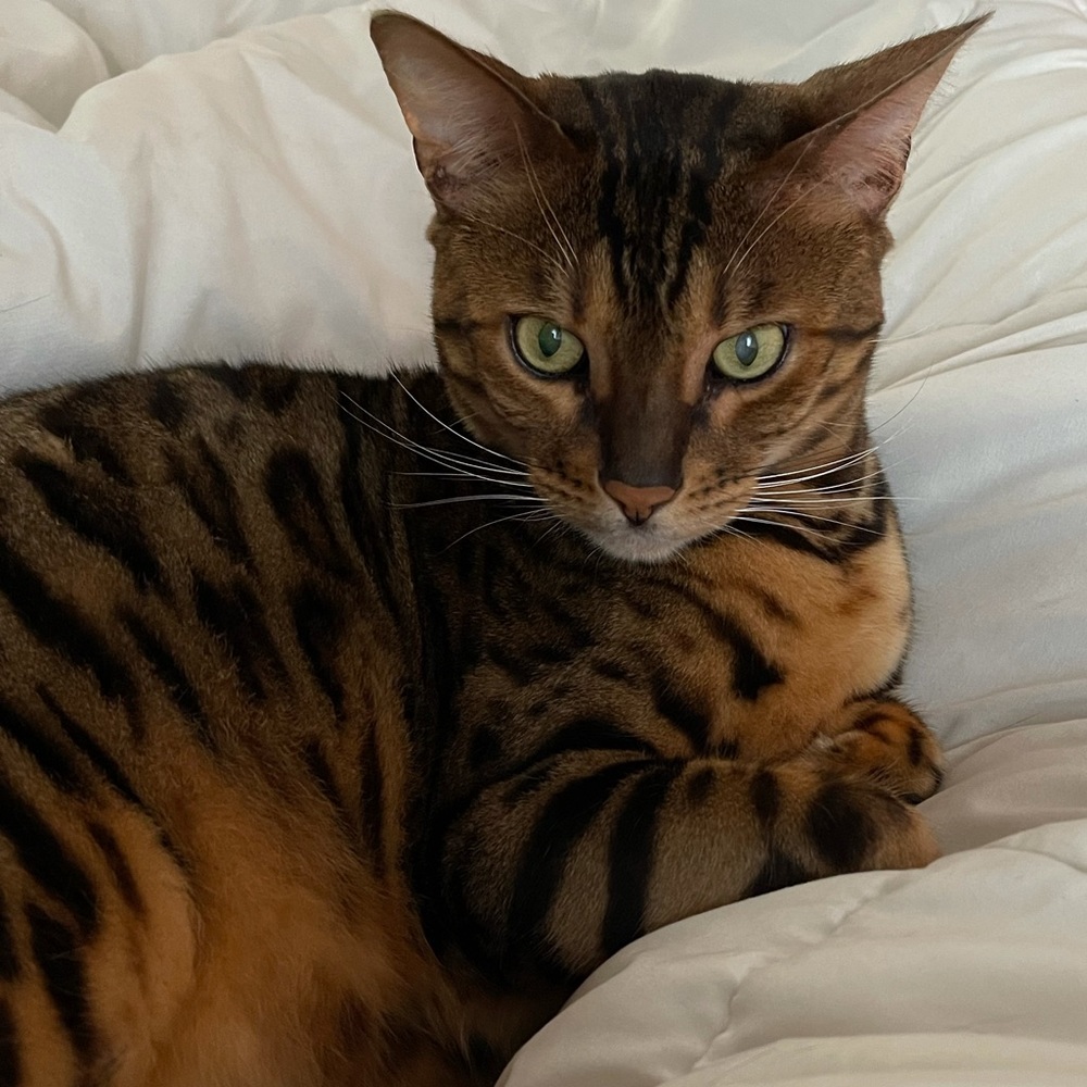 Meet your Posher, Crista